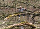 ????  Über dem Wasser, unterwegs mit Freund Dietmar